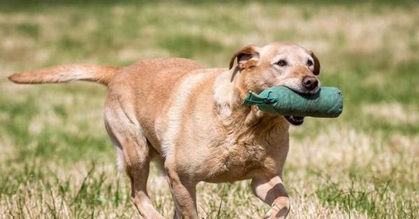 ˵�����������ࡱ��Ȱ���ȿ��ǵ��������⣬��ֹ���ף�