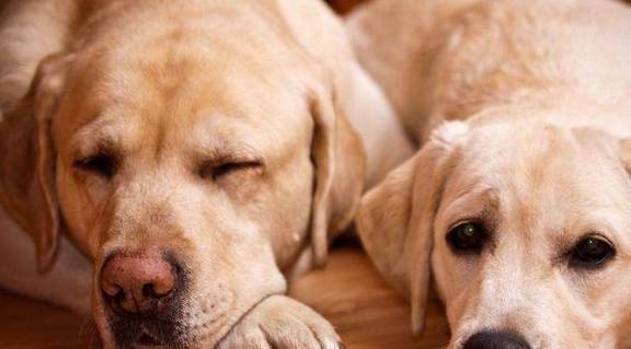 ˵�����������ࡱ��Ȱ���ȿ��ǵ��������⣬��ֹ���ף�