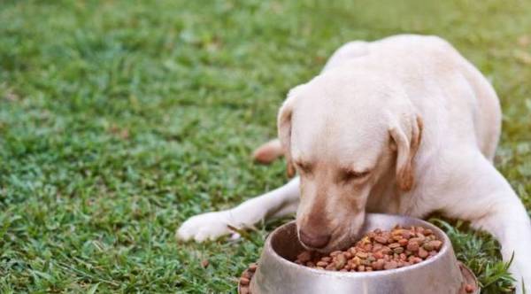 ˵�����������ࡱ��Ȱ���ȿ��ǵ��������⣬��ֹ���ף�