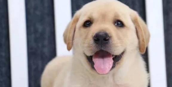 ˵�����������ࡱ��Ȱ���ȿ��ǵ��������⣬��ֹ���ף�