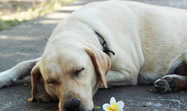 ˵�����������ࡱ��Ȱ���ȿ��ǵ��������⣬��ֹ���ף�