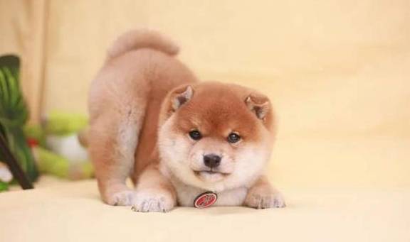 ��Ȯ2K��2W������Щ����