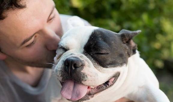 ȫ�������ҳϵĹ�����ʲô����ɵ�ˣ��㻹�Ǽ�����Щ������