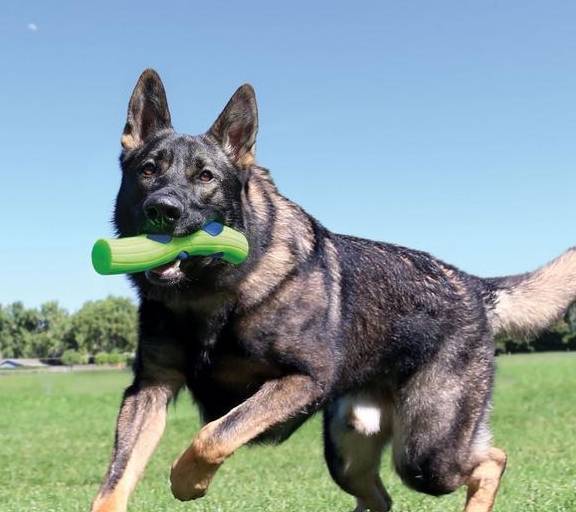 ȫ�������ҳϵĹ�����ʲô����ɵ�ˣ��㻹�Ǽ�����Щ������