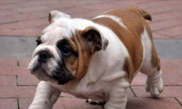 ����һ�귢�����������ʲô����?