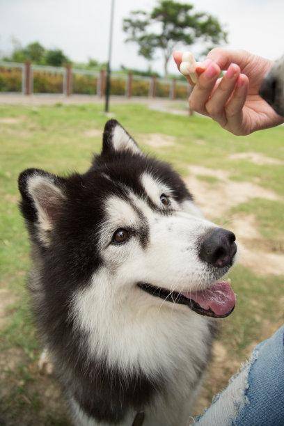 ����˹��˵���ҾͲ����ǹ�ʿ�棬��Ҫ�Ҷ���