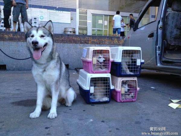 �����������ˣ���Ҫʲô����