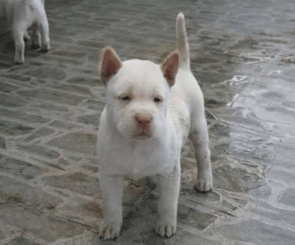 ��5���л���԰Ȯ����������ʵ�����浣��������Ҳ�������Ȯ��