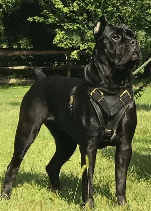 û�ɾ�Ȯ�Ǿ�Ȯ�����ʧ���й���Ȯ��ѡ������������С��