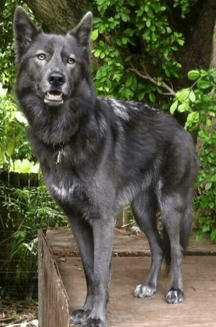 û�ɾ�Ȯ�Ǿ�Ȯ�����ʧ���й���Ȯ��ѡ������������С��