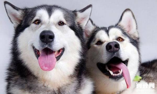 5����ζ��ô����Ĺ�������ֵ��ӵ�У�