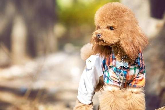 ̩��Ȯ�����ࡱ��6��λ�ã��㶼����ϴ�ɾ���