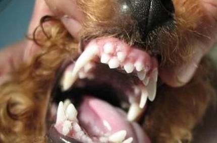 ̩��Ȯ�����ࡱ��6��λ�ã��㶼����ϴ�ɾ���