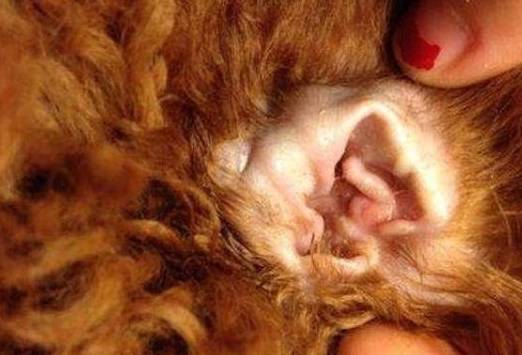 ̩��Ȯ�����ࡱ��6��λ�ã��㶼����ϴ�ɾ���