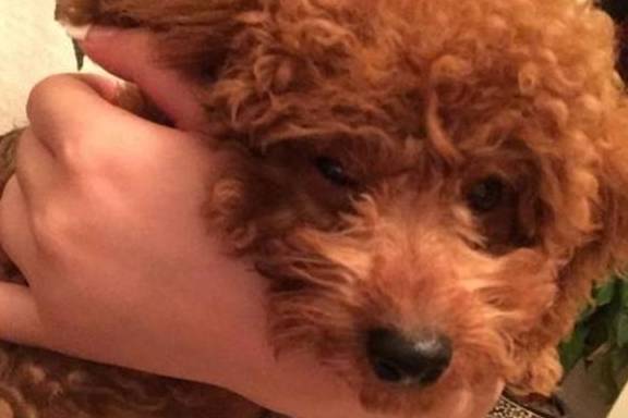 ̩��Ȯ�����ࡱ��6��λ�ã��㶼����ϴ�ɾ���