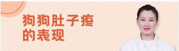狗狗肚子疼的表现 狗狗肚子疼的表现