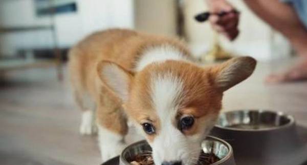 �����û���ȫ����ƻ��о���