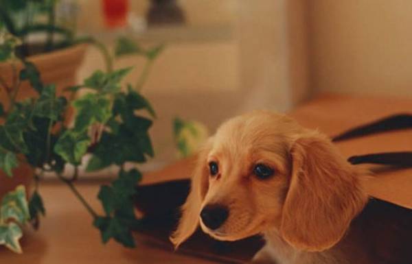 �����û���ȫ����ƻ��о���