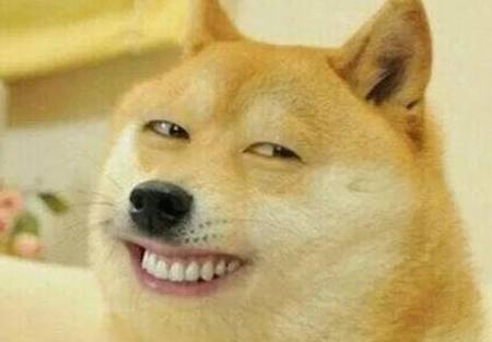 自己家狗子睡觉睡觉打呼噜?实际上它也不想那样 自己家狗子睡觉睡觉打呼噜?实际上它也不想那样