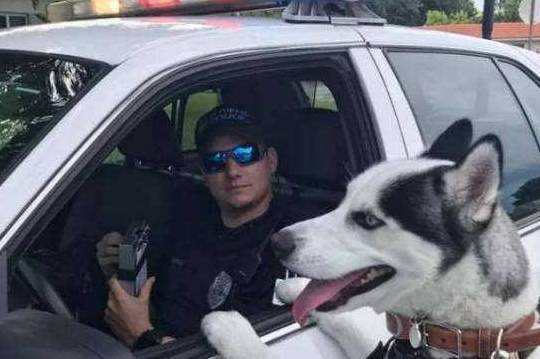 Ϊʲô˵��ʿ�治���Ե���Ȯ����ֻ�������������ϰ��ȡ�óɹ���