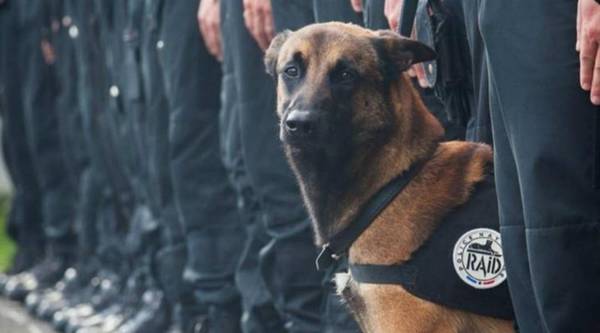 Ϊʲô˵��ʿ�治���Ե���Ȯ����ֻ�������������ϰ��ȡ�óɹ���