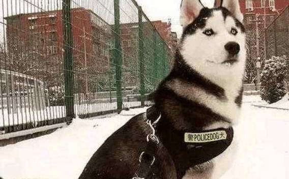 Ϊʲô˵��ʿ�治���Ե���Ȯ����ֻ�������������ϰ��ȡ�óɹ���