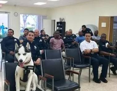 Ϊʲô˵��ʿ�治���Ե���Ȯ����ֻ�������������ϰ��ȡ�óɹ���