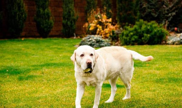 ��ҹ������軵�ļ������֣���ʺ�ٷ�������