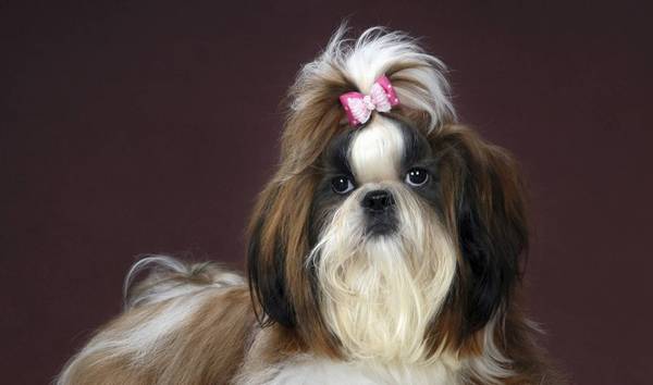 ��ҹ������軵�ļ������֣���ʺ�ٷ�������