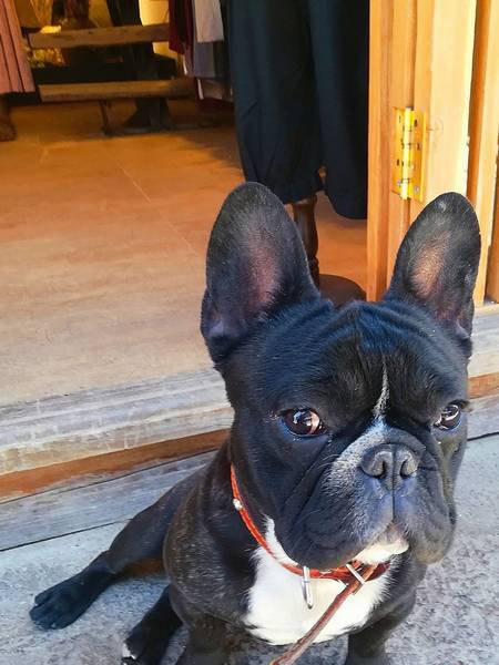 ��ҹ������軵�ļ������֣���ʺ�ٷ�������