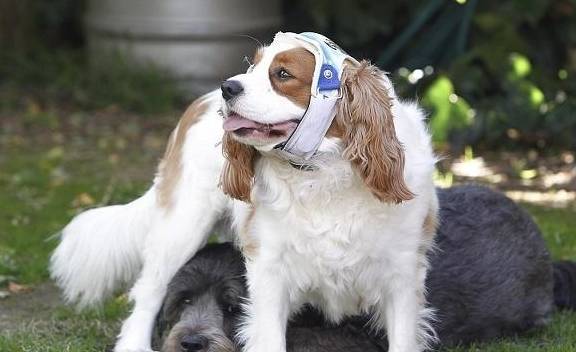 ����ָ���ϲ����ö���÷���ǿ���Ƽ�