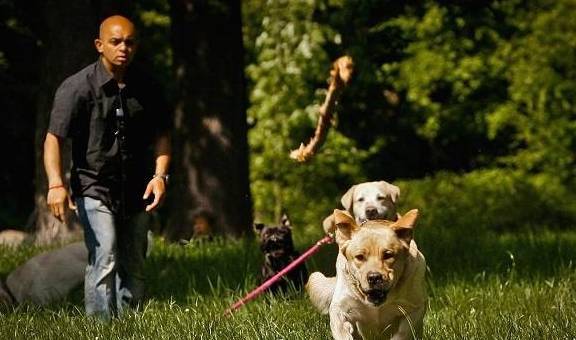 ����ָ���ϲ����ö���÷���ǿ���Ƽ�