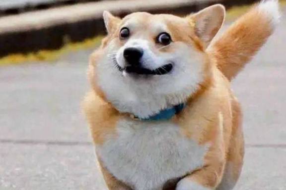 �����⼸�������Ϊ�����ۣ���Ҫ��������үô��