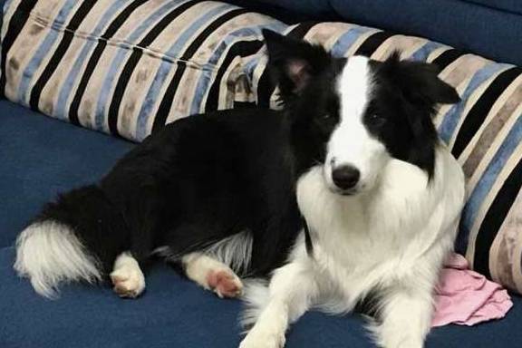 �����⼸�������Ϊ�����ۣ���Ҫ��������үô��