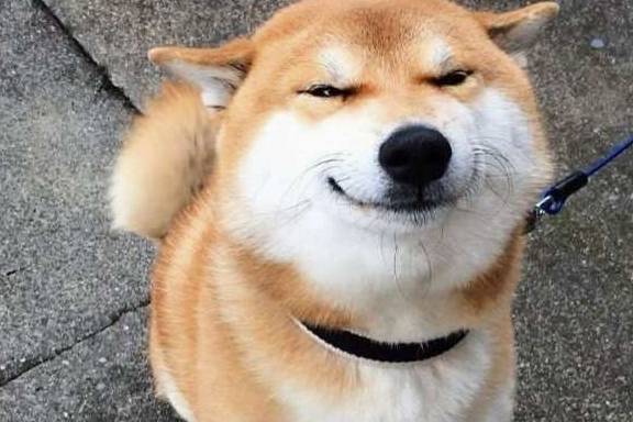 �����⼸�������Ϊ�����ۣ���Ҫ��������үô��