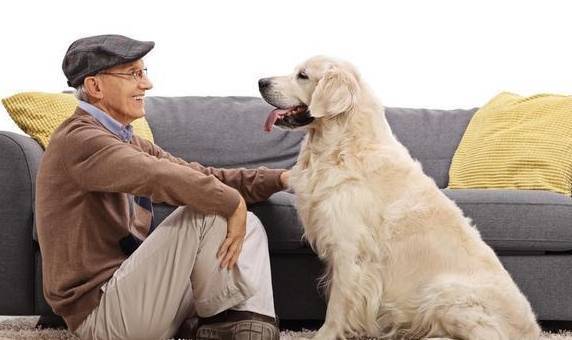 ����������4������ʱ�ڡ����ǲ��𡱣����˻��������ҧ��