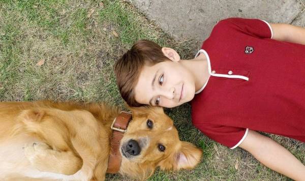 ����������4������ʱ�ڡ����ǲ��𡱣����˻��������ҧ��