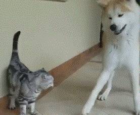 ����������4������ʱ�ڡ����ǲ��𡱣����˻��������ҧ��