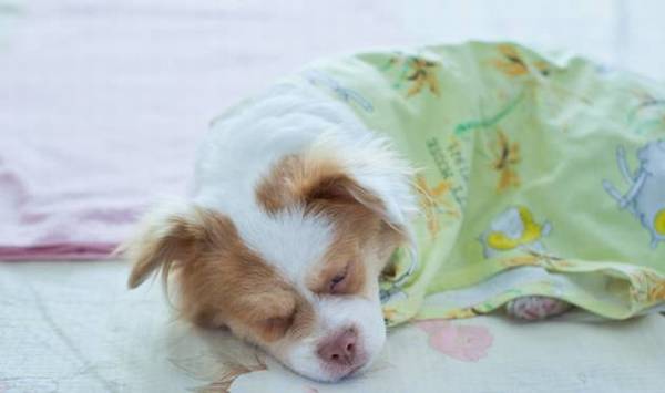 ����������4������ʱ�ڡ����ǲ��𡱣����˻��������ҧ��