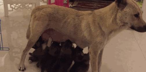 ����������4������ʱ�ڡ����ǲ��𡱣����˻��������ҧ��