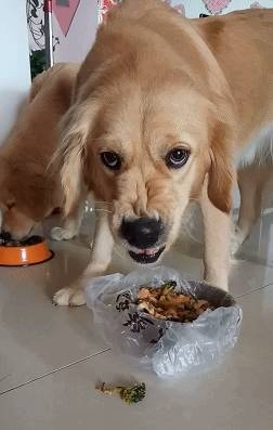 ����������4������ʱ�ڡ����ǲ��𡱣����˻��������ҧ��