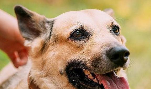 ����ʵ�Ĺ�������һЩ����Ҳ�ǲ��ɸ��ĵģ���ǰ�����˽�һ��