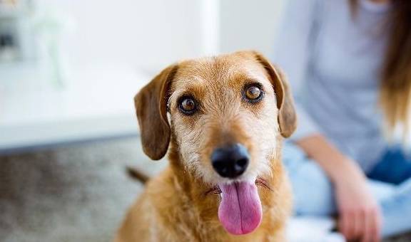 ����ʵ�Ĺ�������һЩ����Ҳ�ǲ��ɸ��ĵģ���ǰ�����˽�һ��