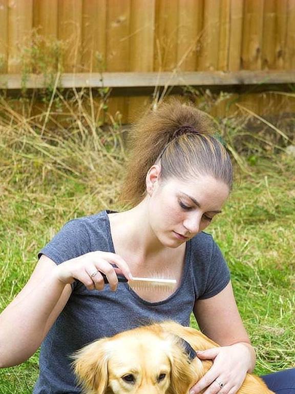 ����ʵ�Ĺ�������һЩ����Ҳ�ǲ��ɸ��ĵģ���ǰ�����˽�һ��