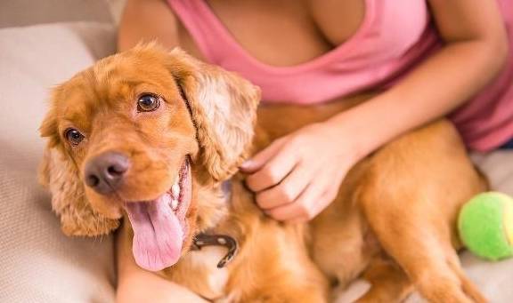 ����ʵ�Ĺ�������һЩ����Ҳ�ǲ��ɸ��ĵģ���ǰ�����˽�һ��