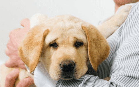 ��ҧ����ͬ������Ե�ɵģ��ù������е�7�ָ�����Ϊ������������