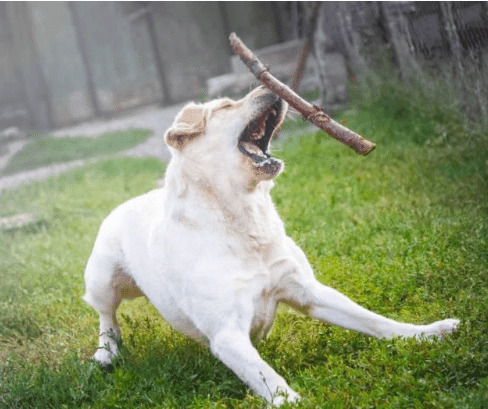 ��ҧ����ͬ������Ե�ɵģ��ù������е�7�ָ�����Ϊ������������