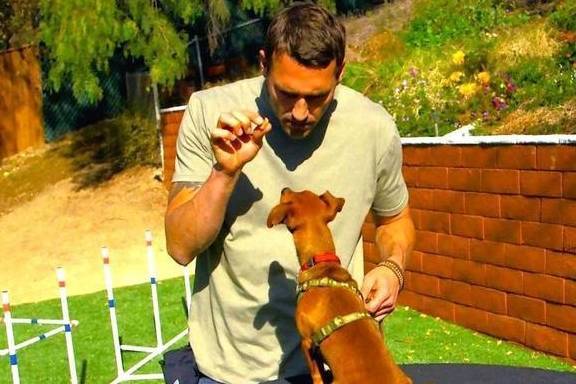 ������5��ѵ����������ʹ�ڻ��⣬������Ȼ������ʱ����