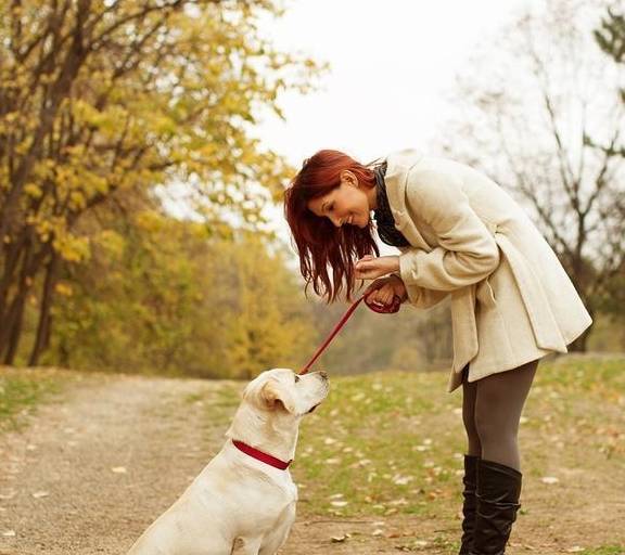 ������5��ѵ����������ʹ�ڻ��⣬������Ȼ������ʱ����