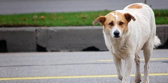 ������5��ѵ����������ʹ�ڻ��⣬������Ȼ������ʱ����